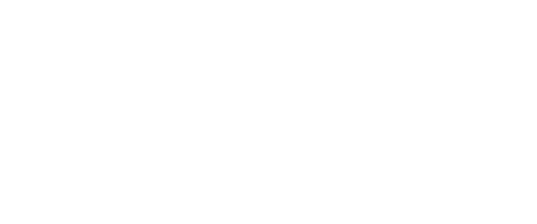 Logo Hirondelle